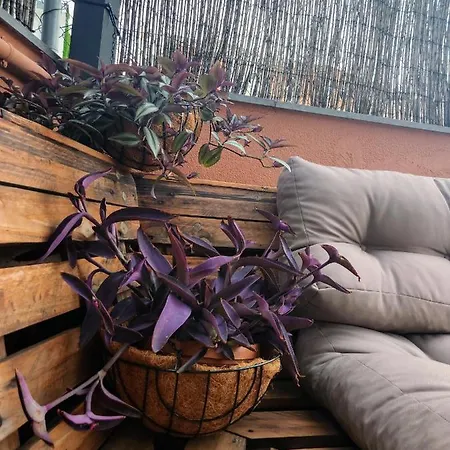 Estudio Con Terraza Οργανωμένο κάμπινγκ *
